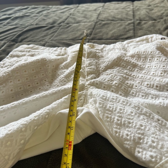 Anthropologie Pilcro and the Letterpress Hypen eyelet pants. Size 30 - Picture 9 of 11